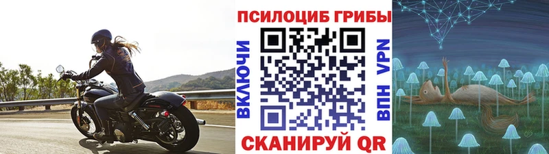 Галлюциногенные грибы мицелий  Купить где  Макаров 